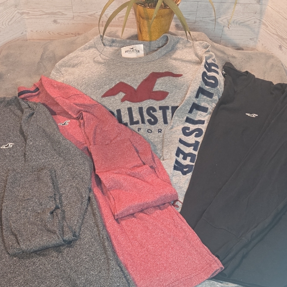 Men's Hollister Long Sleeve Shirts Bundle Of 4 Sz Lg